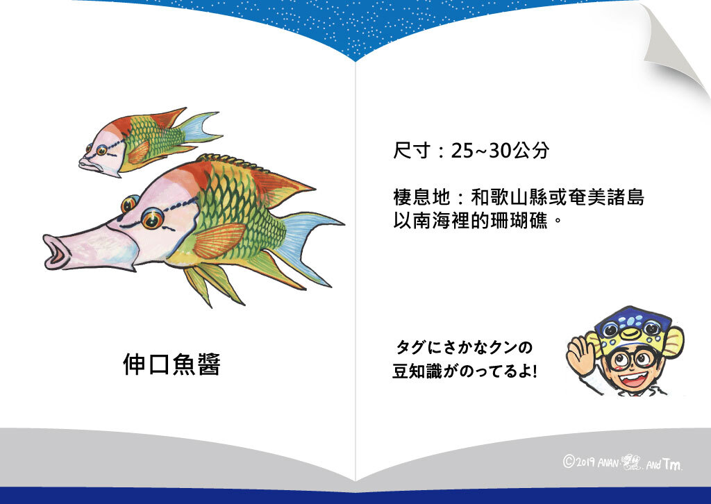 [OSAKANA SAN] SK006 伸口魚