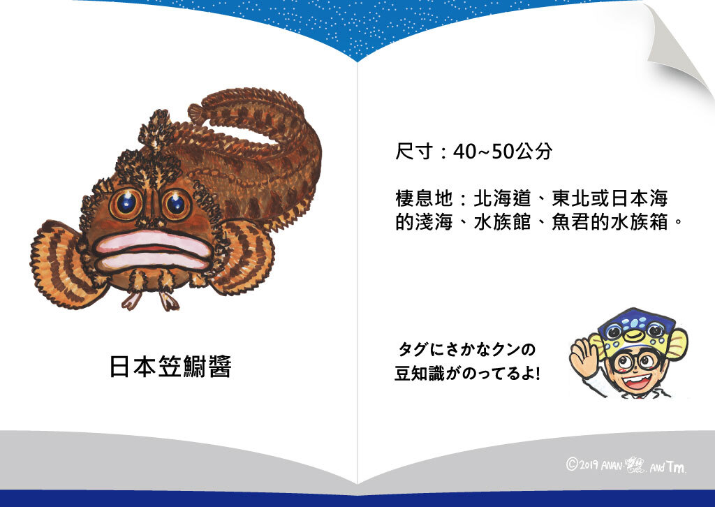 [OSAKANA SAN] SK004 日本笠䲁