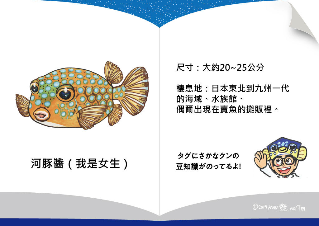 [OSAKANA SAN] SK003 河豚 (雌性)