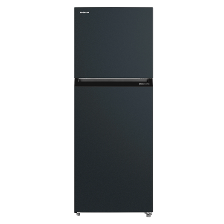(可議價)TOSHIBA 東芝 312L雙門變頻電冰箱(GR-RT312WE-PMT-52E)