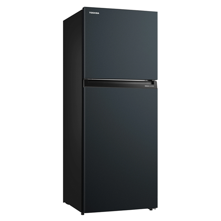 (可議價)TOSHIBA 東芝 312L雙門變頻電冰箱(GR-RT312WE-PMT-52E)