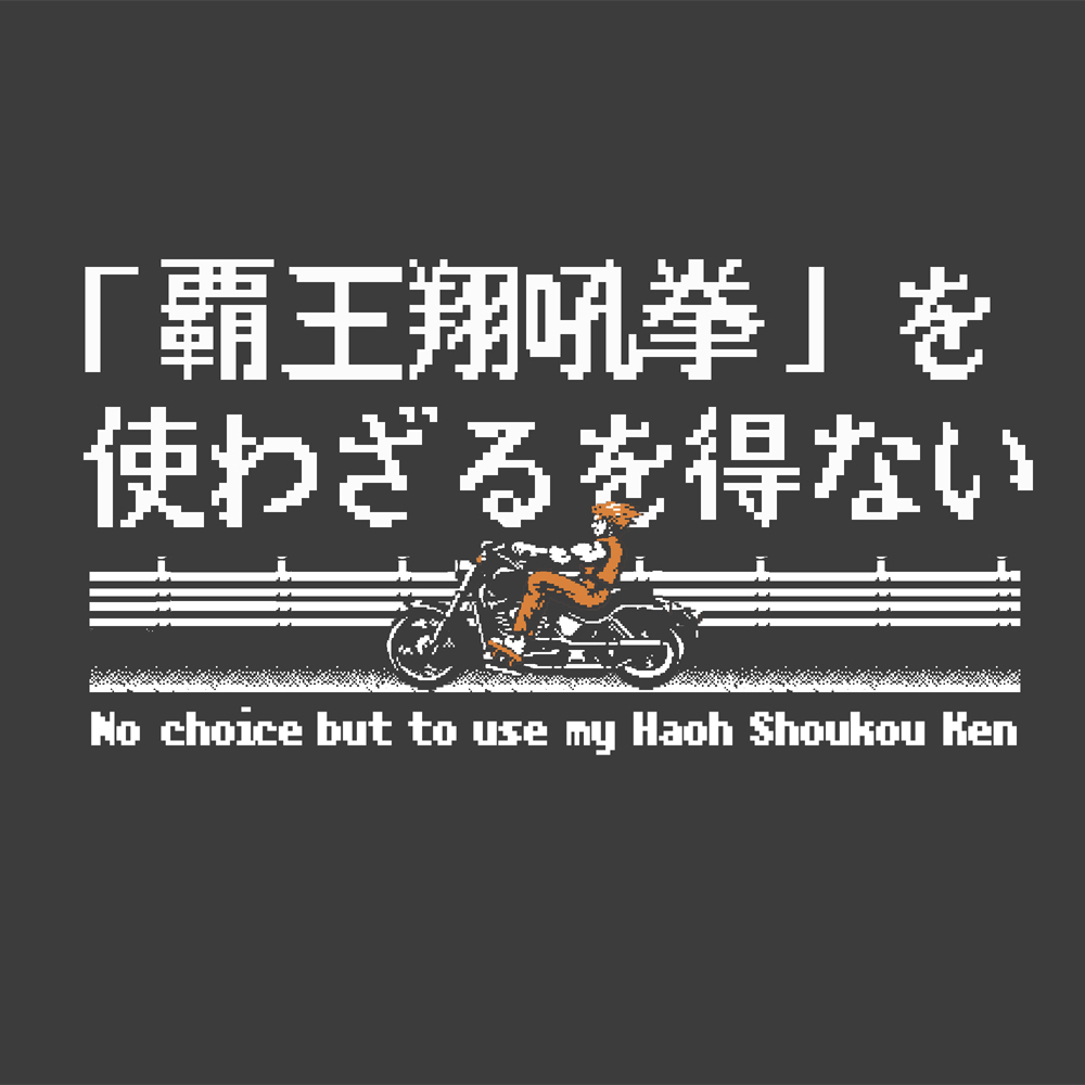覇王翔吼拳を使わざるを得ない Tｼｬﾂ/SUMI COSPA 091426