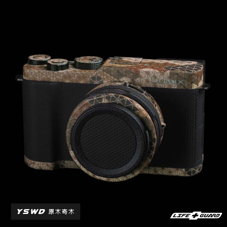 Panasonic LUMIX L10 DC-L10 Camera Skin