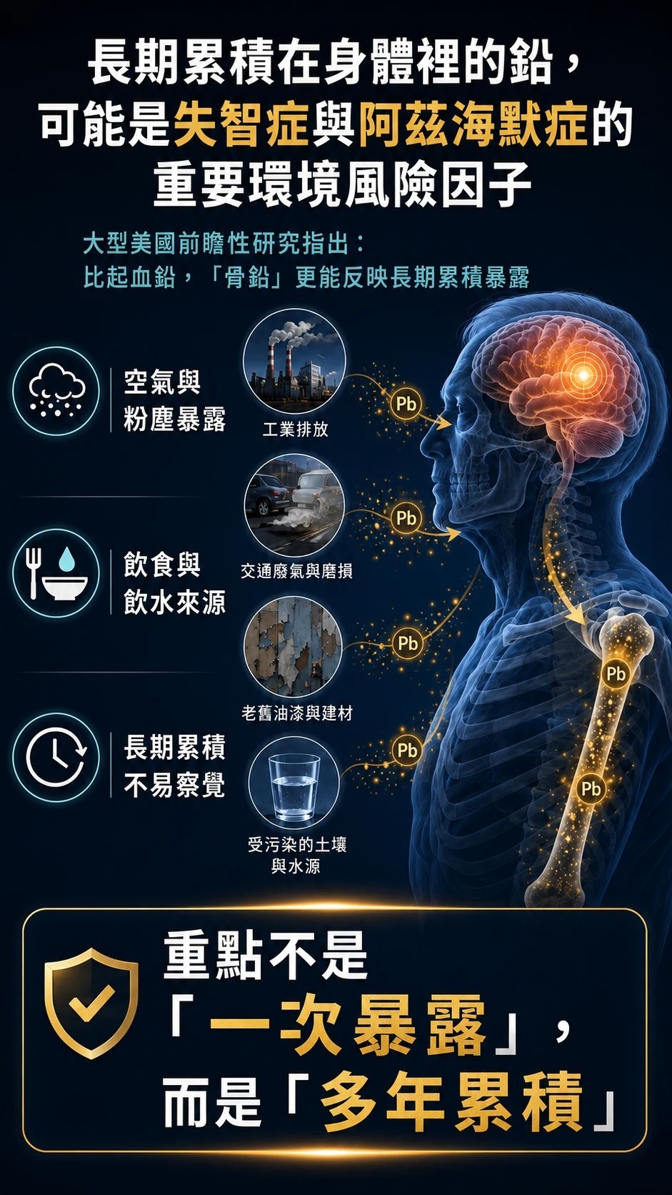 鉛的長期累積風險