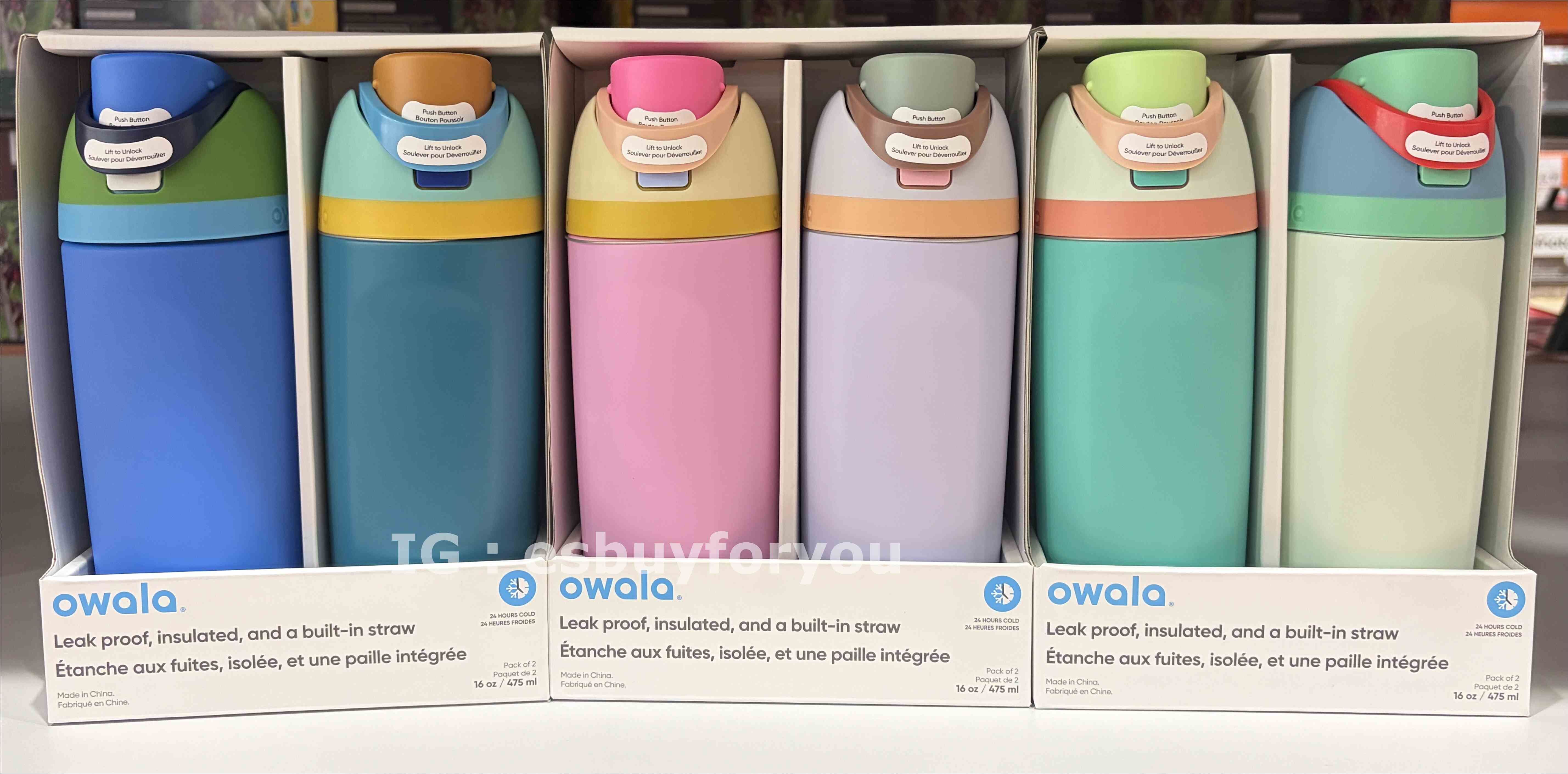 Owala(475ml 16oz) 不鏽鋼 FreeSip 水壺 (兩個一組更優惠) (內有吸管)