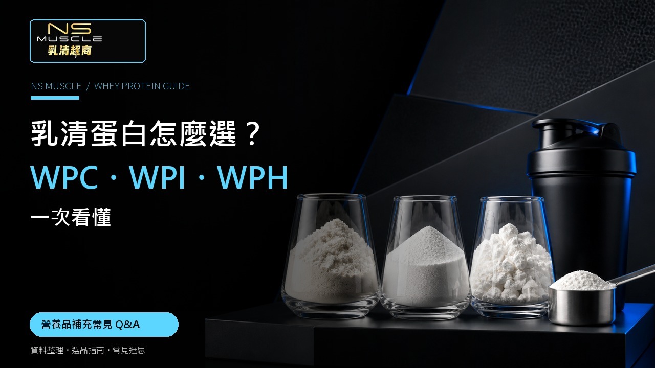 WPC, WPI and WPH whey protein comparison guide by NS MUSCLE