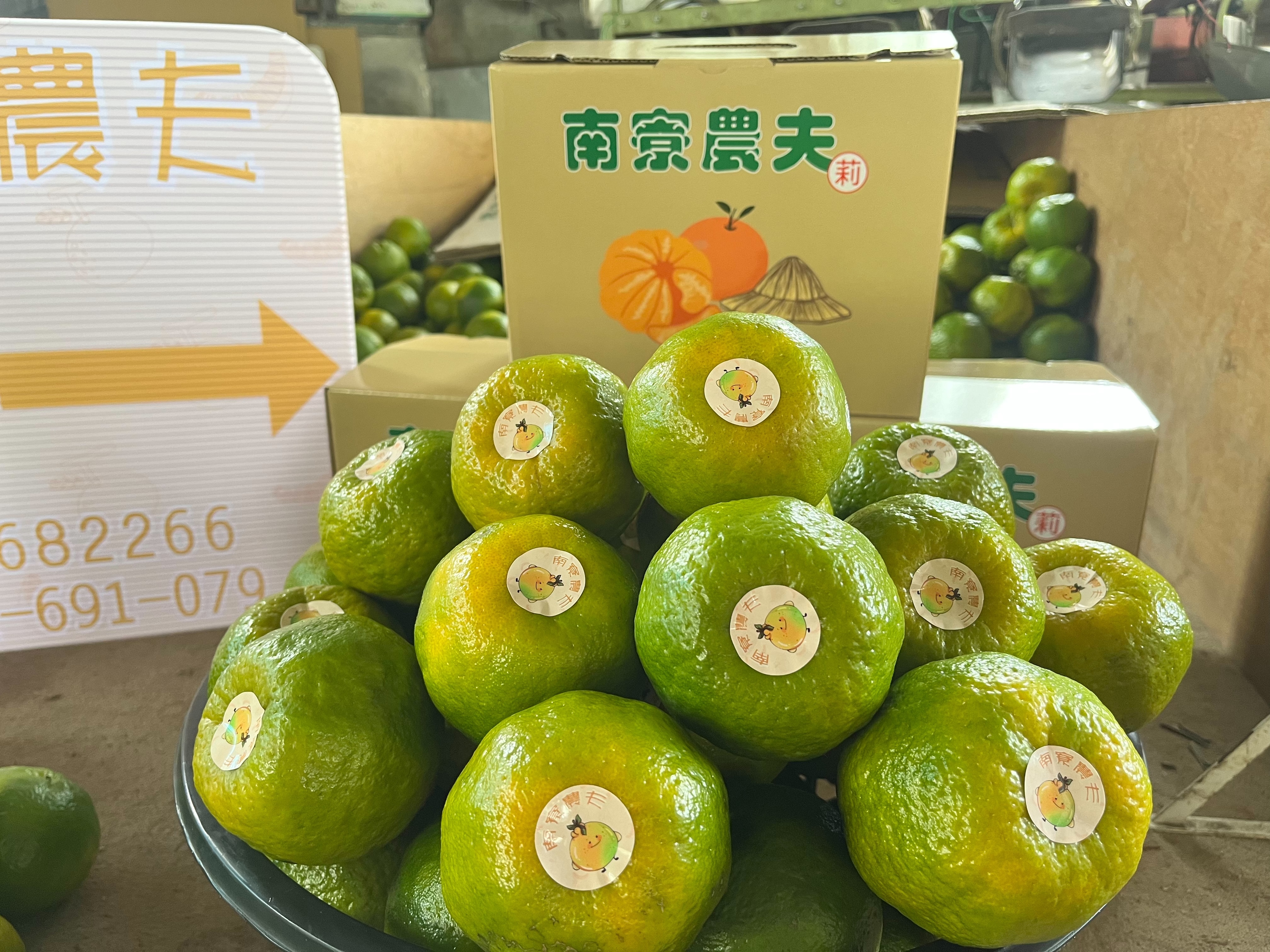 【南寮農夫｜莉莉皆辛苦】產地直送・手感鮮採椪柑禮盒