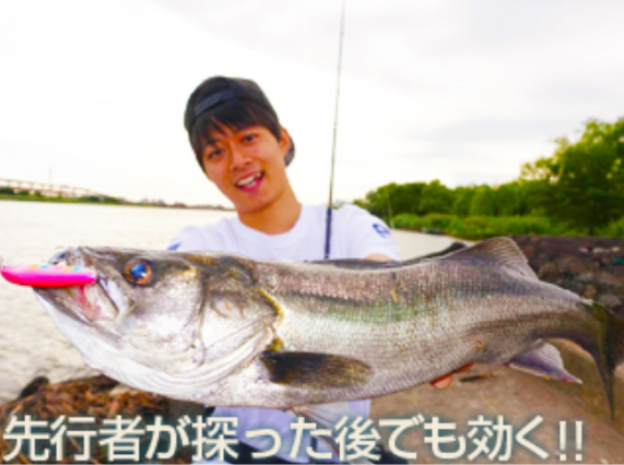 BlueBlue KUMIHON 70S 沉水米諾