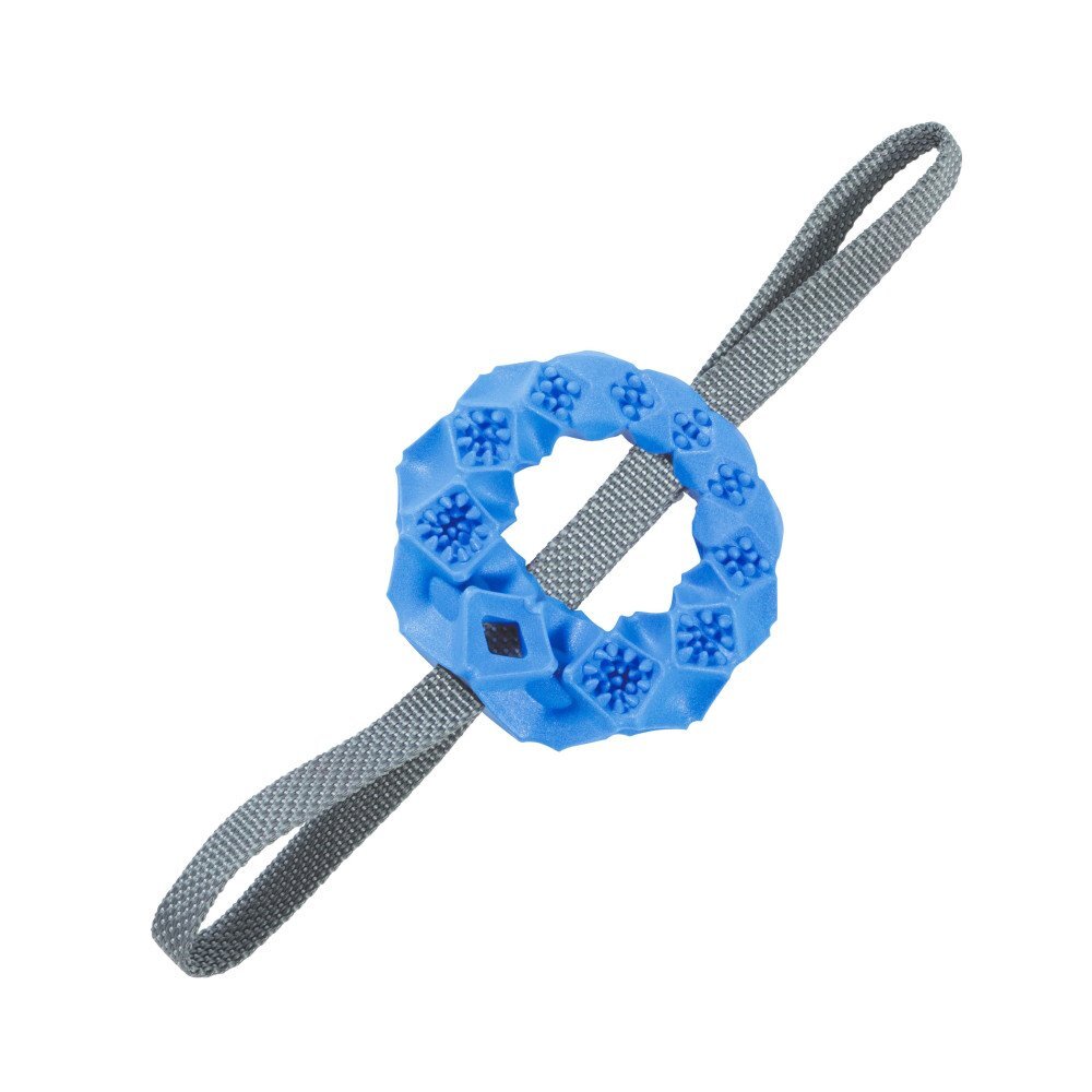 Zolux 狗玩具．TPR系列 戶外環形玩具 藍色