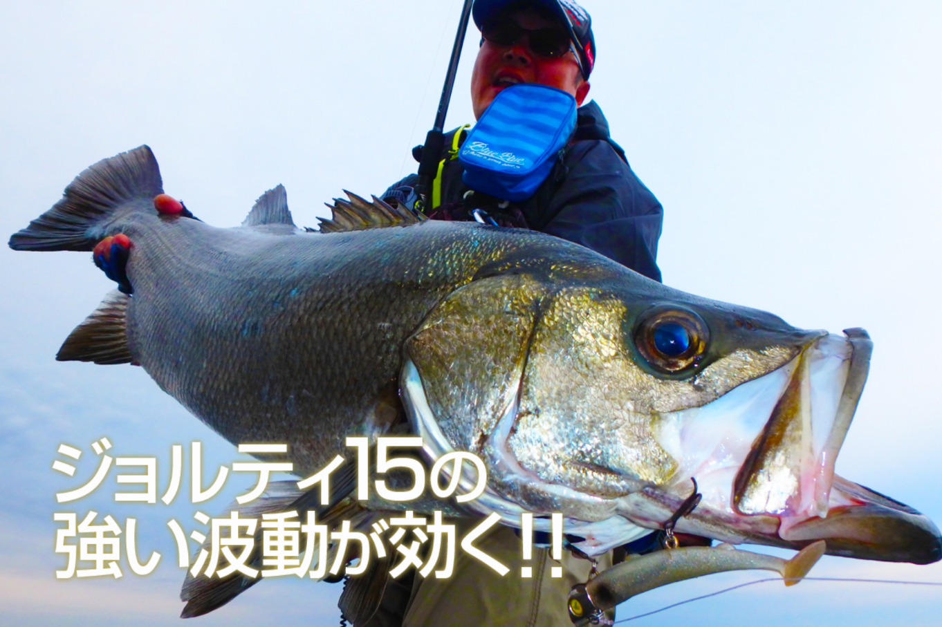 BlueBlue JOLTY 軟蟲