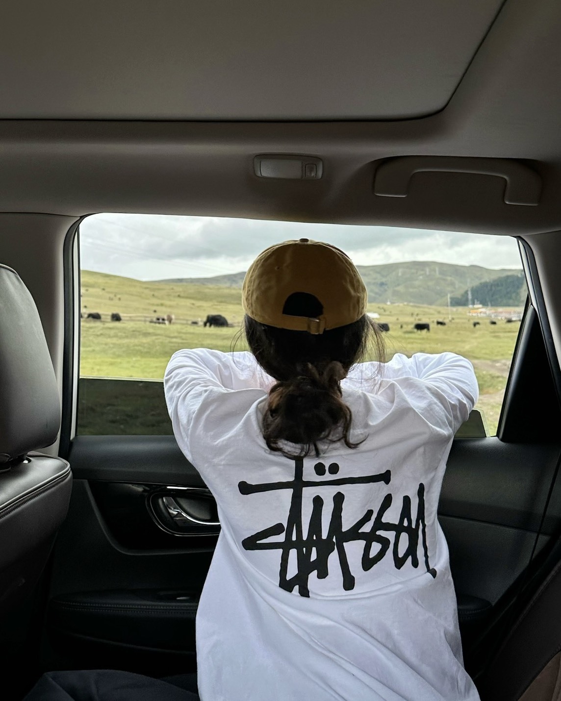 <奇蹟補貨>Stussy Basic LS Tee 經典 Logo 基本款 長袖 兩色