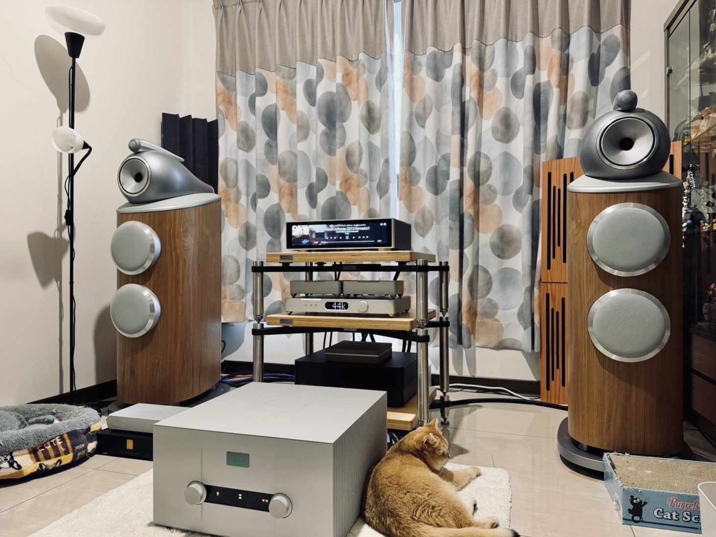 設備頂端的貓咪與完美音響系統