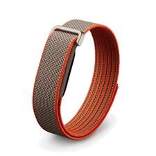 Google Fitbit Air 健康手環 Special Edition Stephen Curry Band｜智能健康與運動追蹤手環