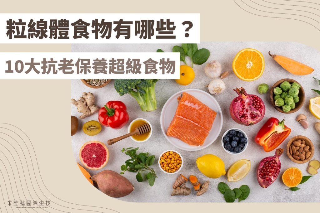 粒線體食物有哪些