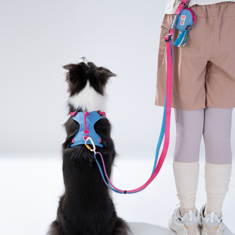 puppygallery｜山系亮色牽繩 基本牽繩 多功能 解放雙手牽繩