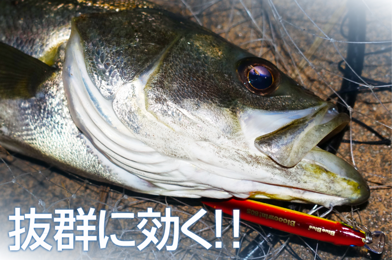 BlueBlue Blooowin 80S 沉水米諾