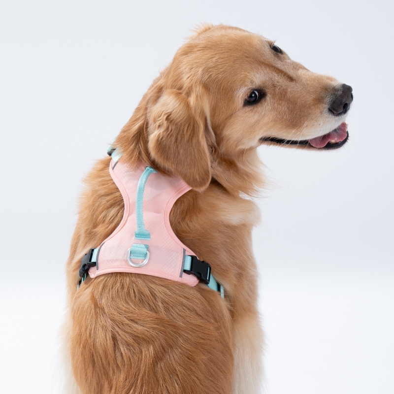 puppygallery｜山系亮色胸背帶 狗狗胸背帶 大型犬胸背帶