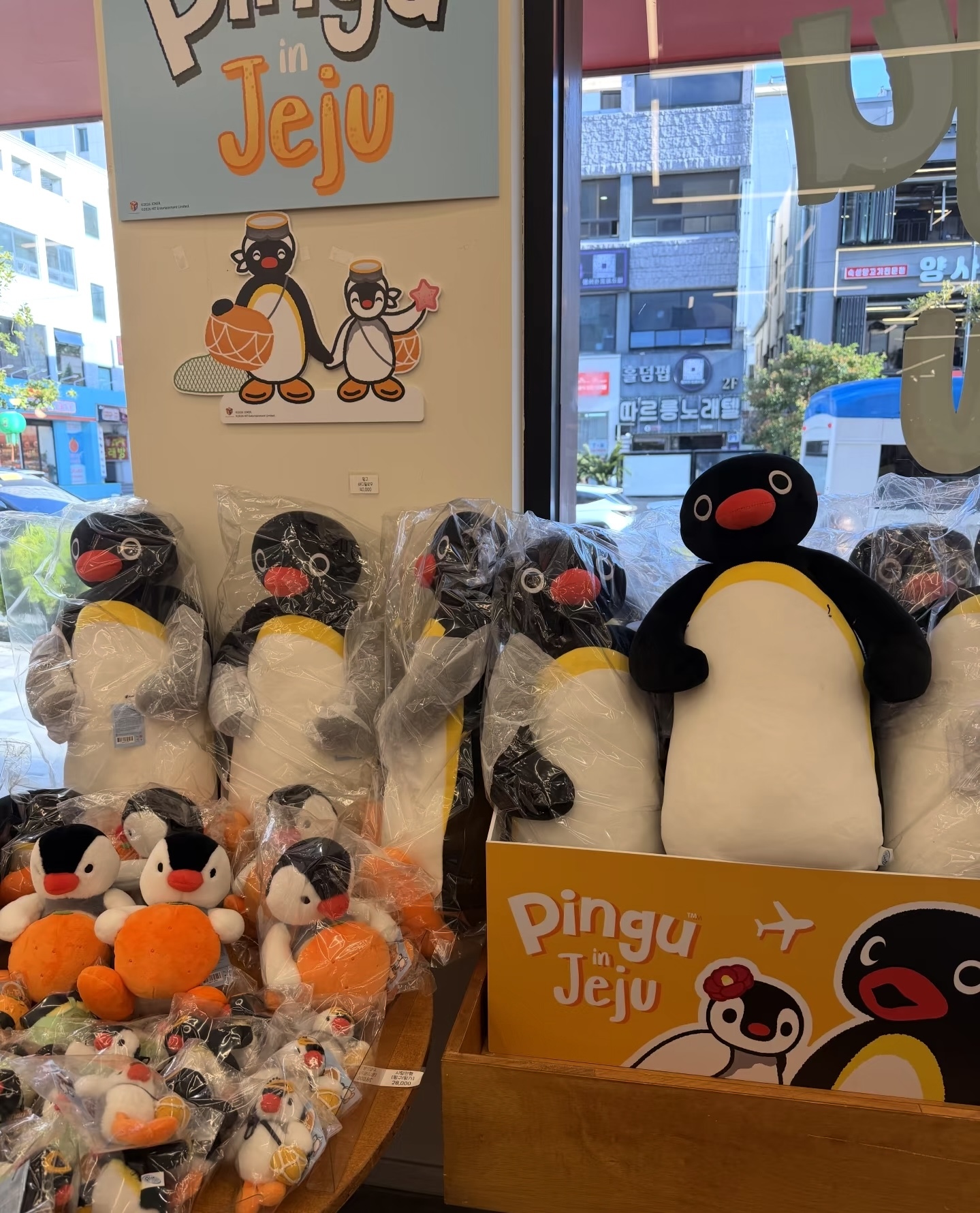 韓國濟州島限定 PINGU 企鵝家族 乖巧長鵝玩偶 65cm