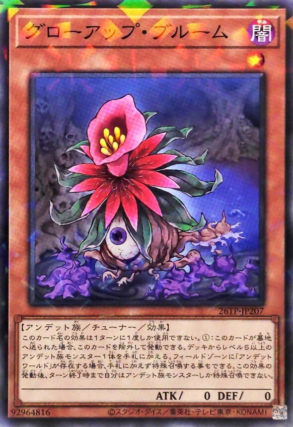 26TP-JP207 グローアップブルーム (P-N)
