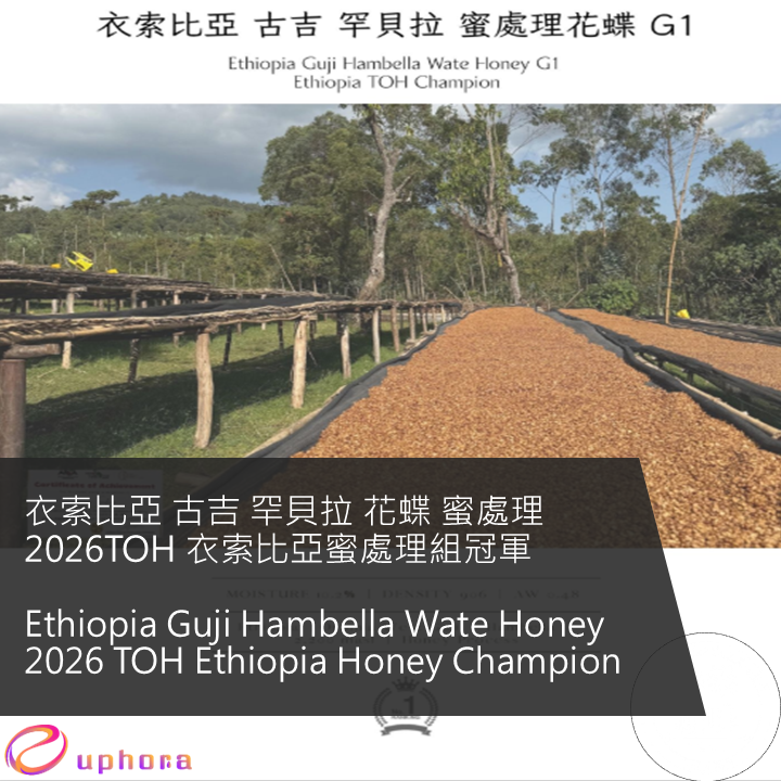 衣索比亞 古吉 罕貝拉 花蝶 蜜處理 2026TOH 衣索比亞蜜處理組冠軍