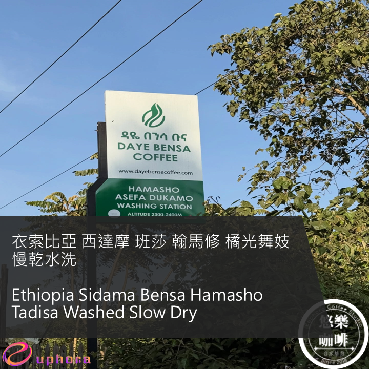 衣索比亞 西達摩 班莎 翰馬修 橘光舞妓 慢乾水洗
