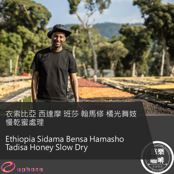 衣索比亞 西達摩 班莎 翰馬修 橘光舞妓 慢乾蜜處理
