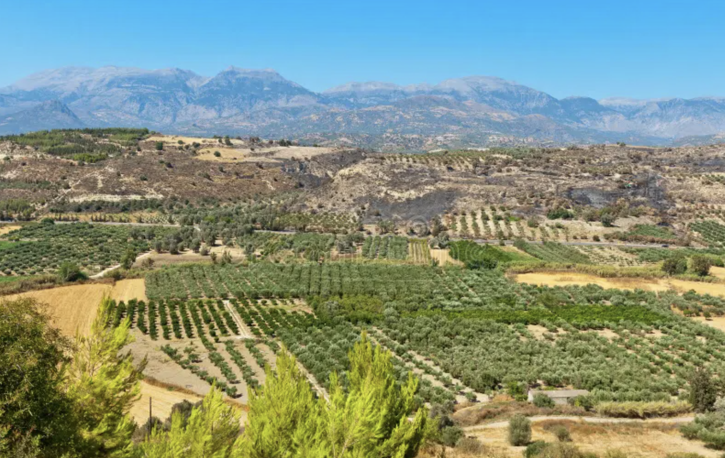 Messara Plain Crete