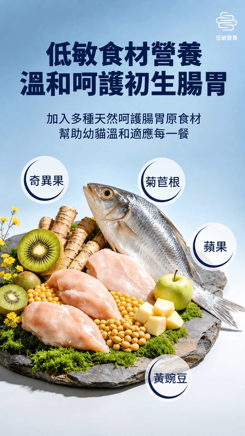 ZiwiPeak (幼貓) 柔蒸溫乾貓糧 (雞肉+南藍鱈)