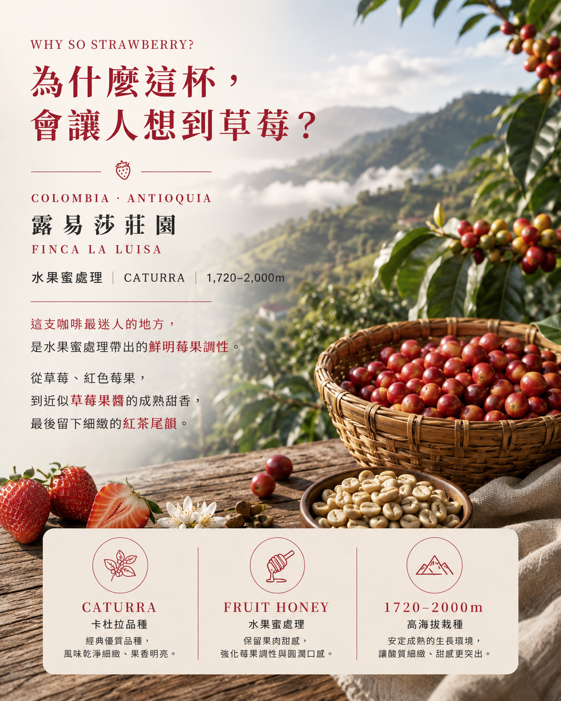 草莓派對｜哥倫比亞露易莎莊園 水果蜜處理｜單品濾掛咖啡 9 入