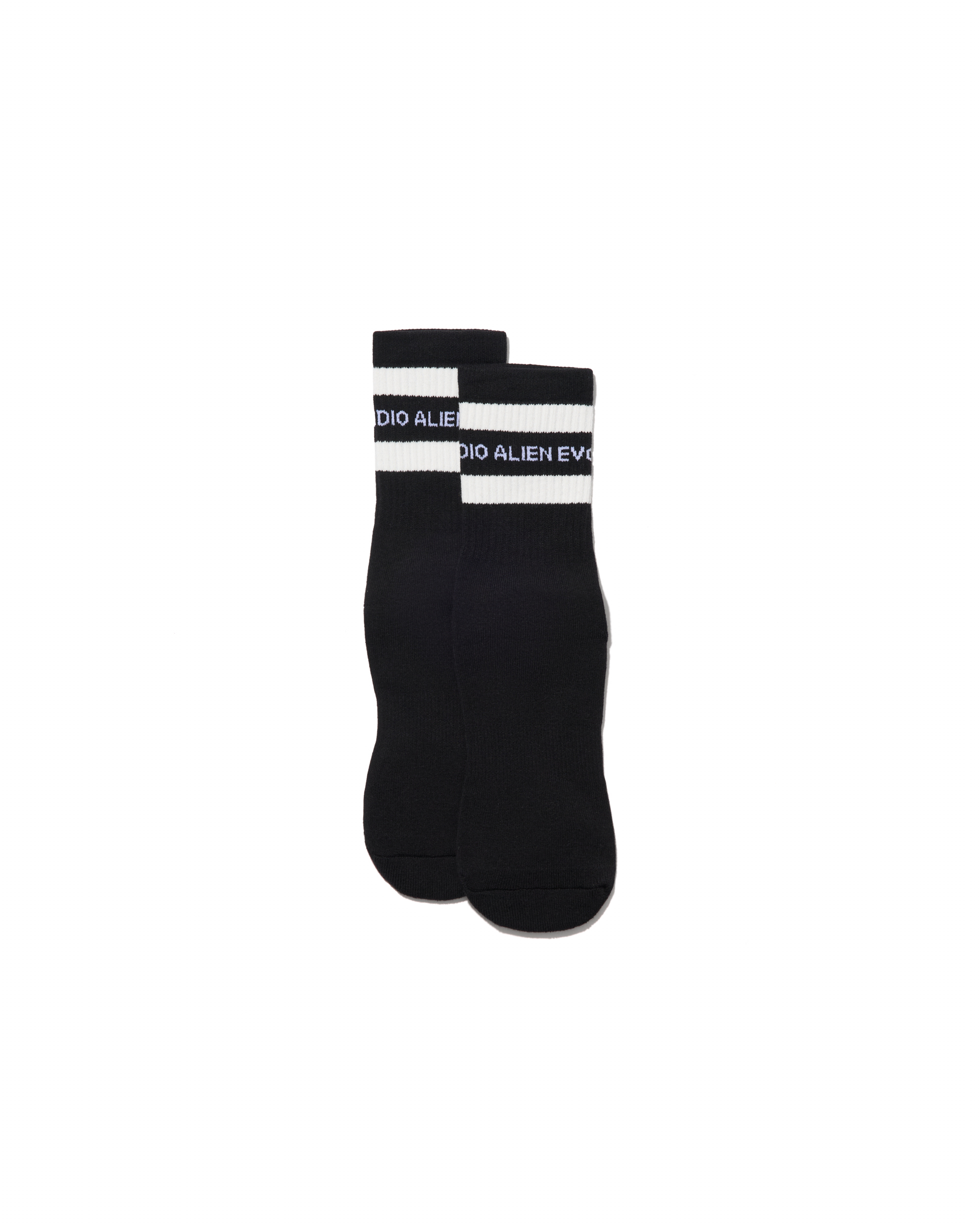 AES SKULL LOGO DOUBLE STRIPED SOCKS