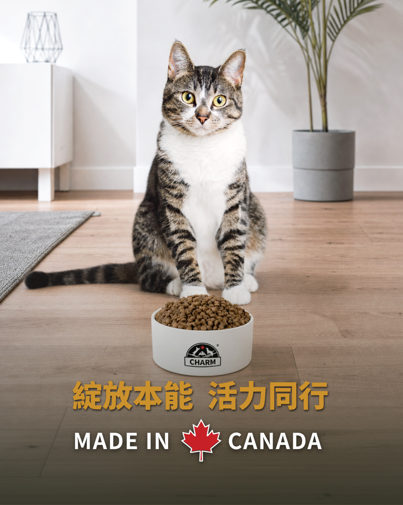 CHARM® 野性魅力 無穀天然全貓糧