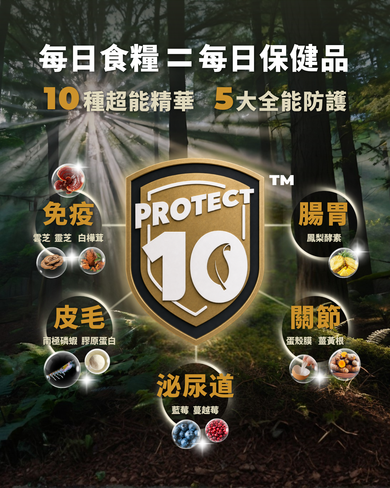 CHARM® 野性魅力 無穀天然全貓糧