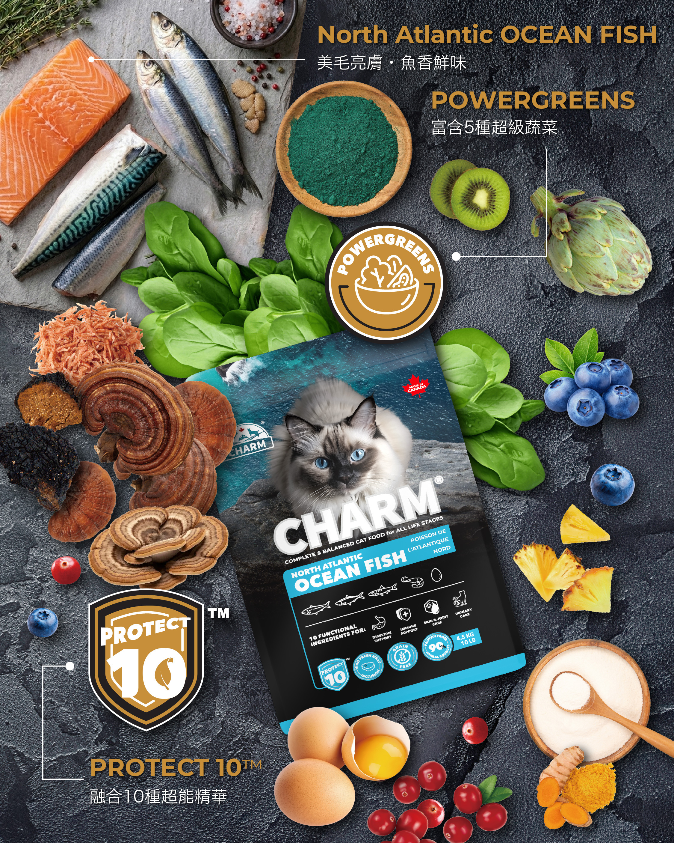 Charm PROTECT 10™ 超能精華低碳無穀全貓糧