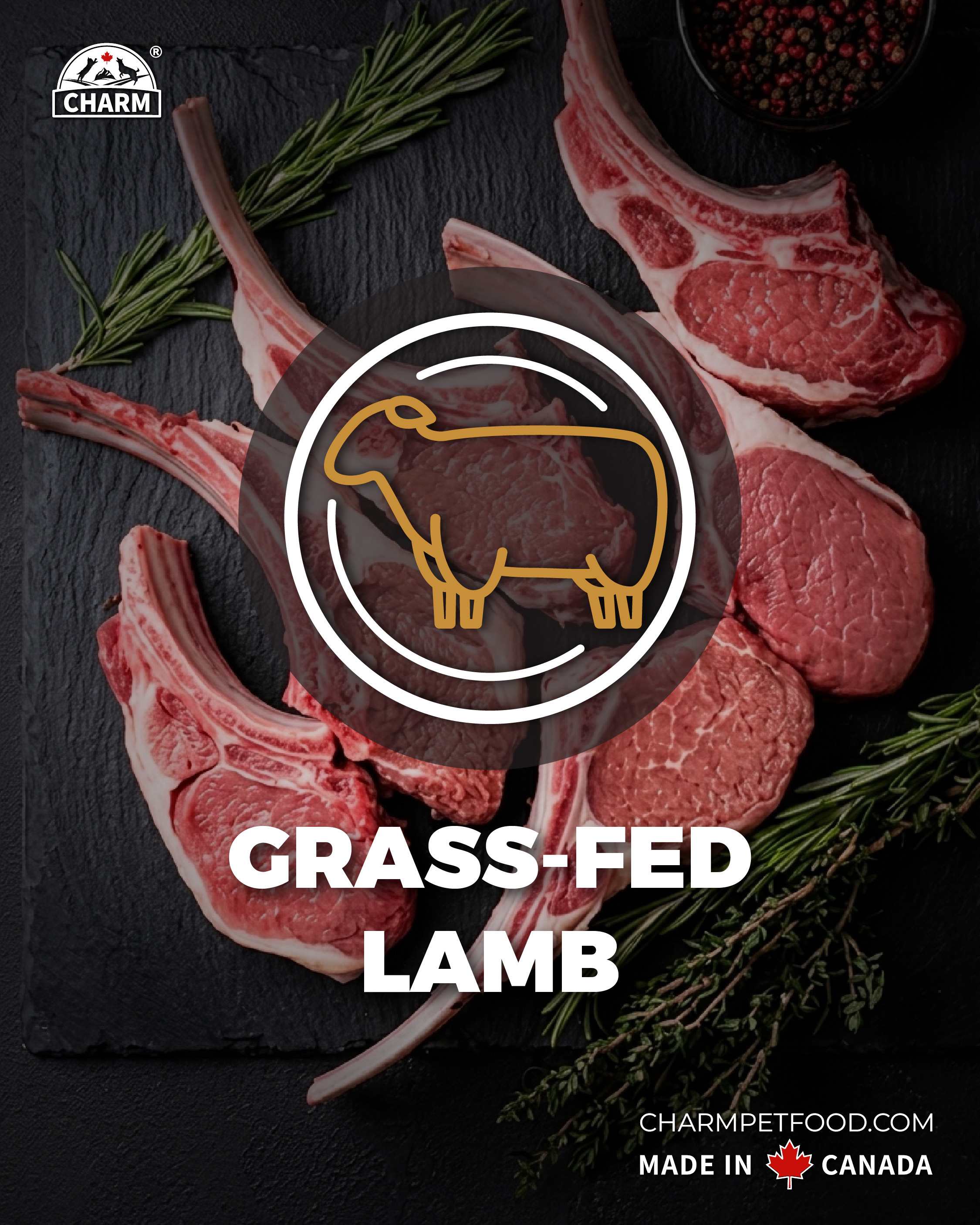Charm PROTECT 10™ 超能精華低碳無穀全貓糧 340g - 草飼羊配方 Grass-Fed Lamb