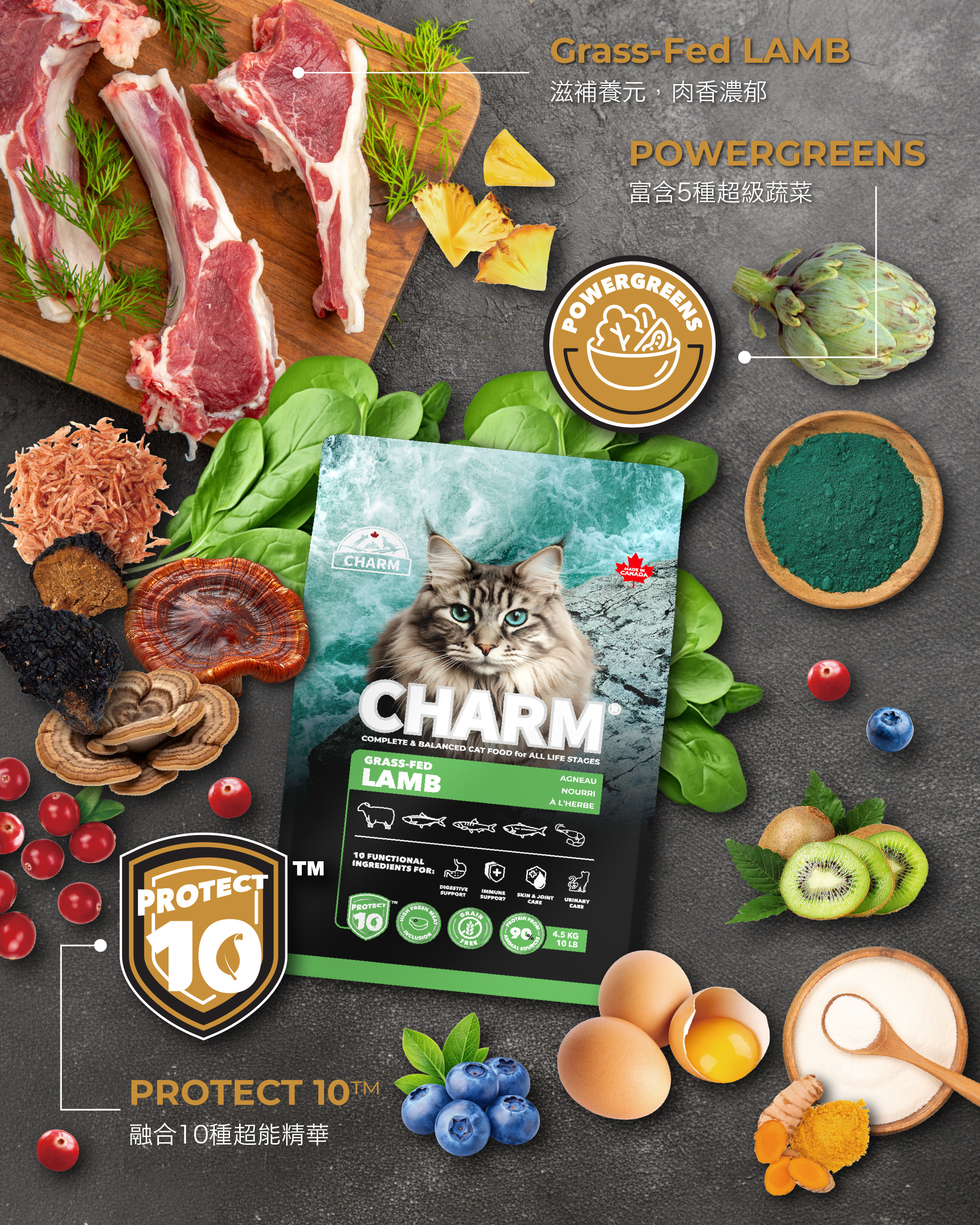 Charm PROTECT 10™ 超能精華低碳無穀全貓糧 340g - 草飼羊配方 Grass-Fed Lamb
