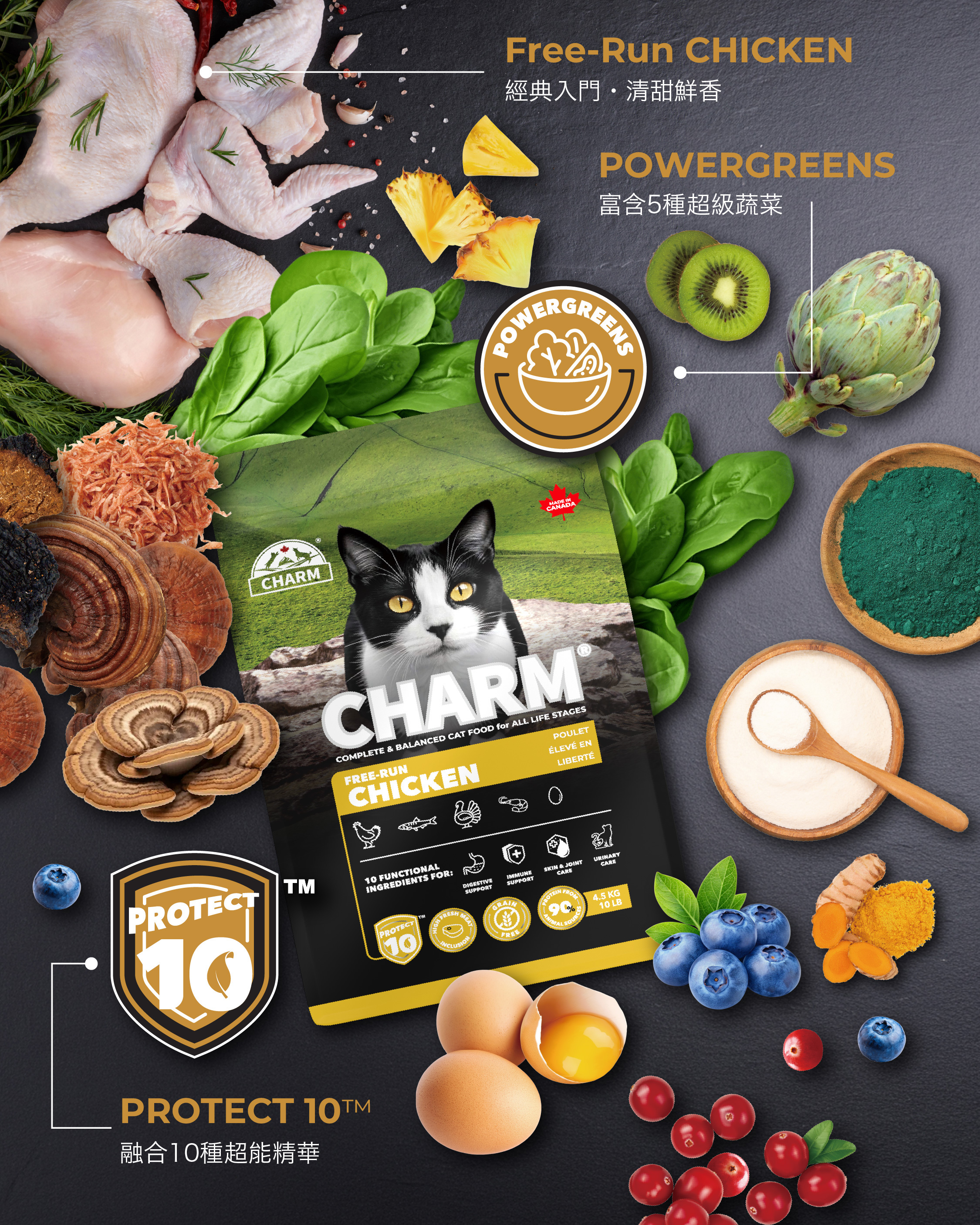 Charm PROTECT 10™ 超能精華低碳無穀全貓糧 340g - 走地雞配方 Free-Run Chicken