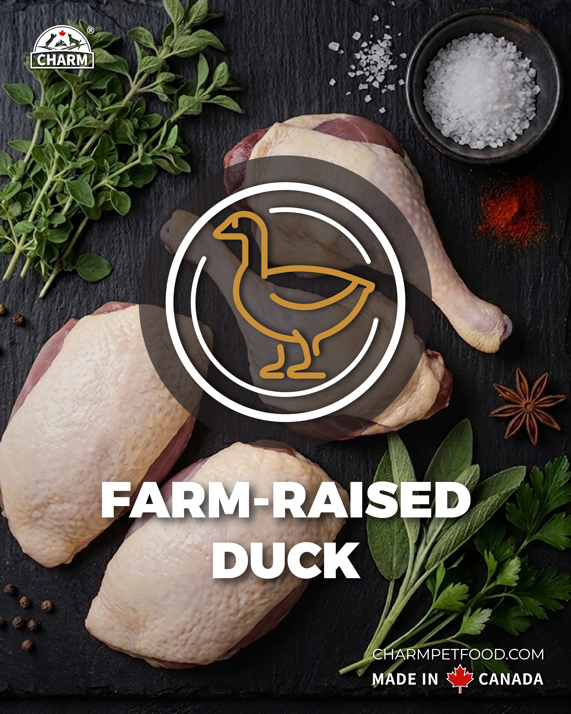 Charm PROTECT 10™ 超能精華低碳無穀全貓糧 340g - 農場放養鴨配方 Farm-Raised Duck