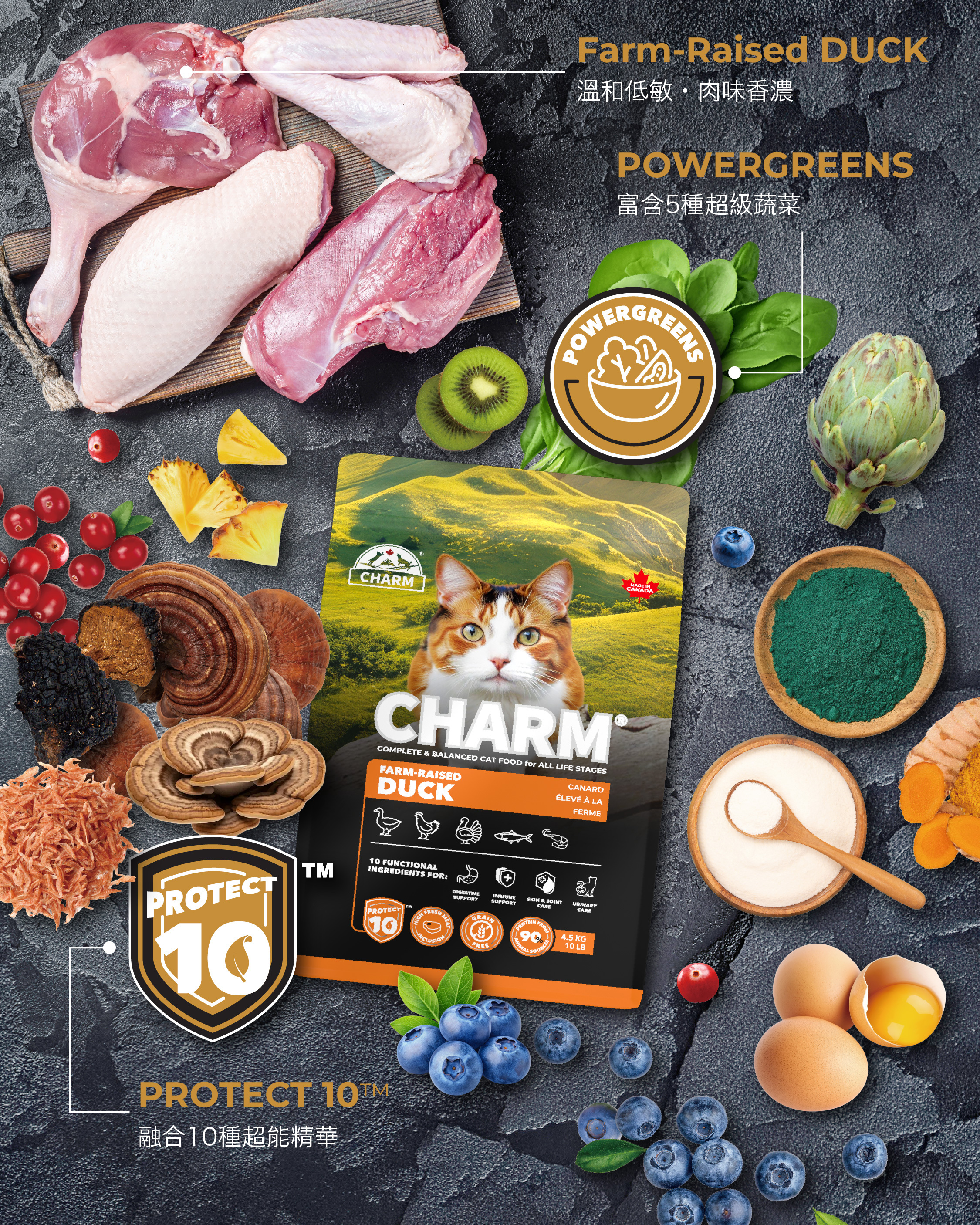 Charm PROTECT 10™ 超能精華低碳無穀全貓糧 340g - 農場放養鴨配方 Farm-Raised Duck