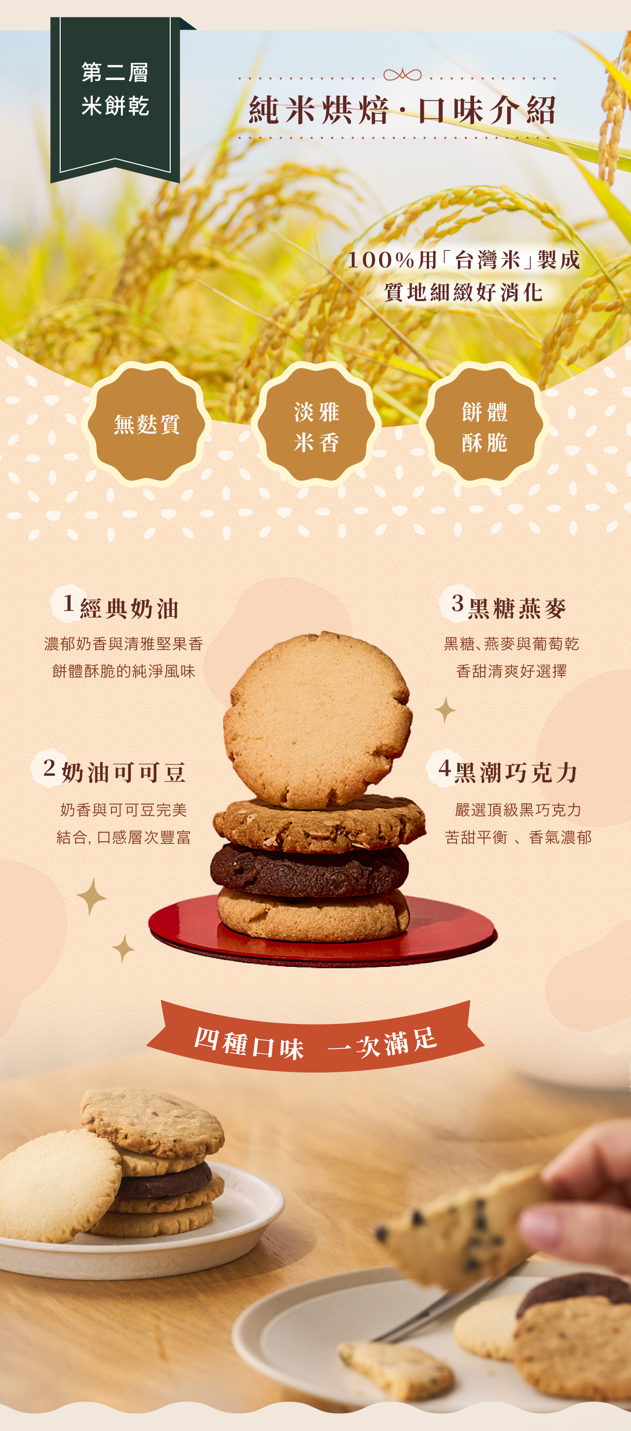 舊振南米餅乾口味介紹