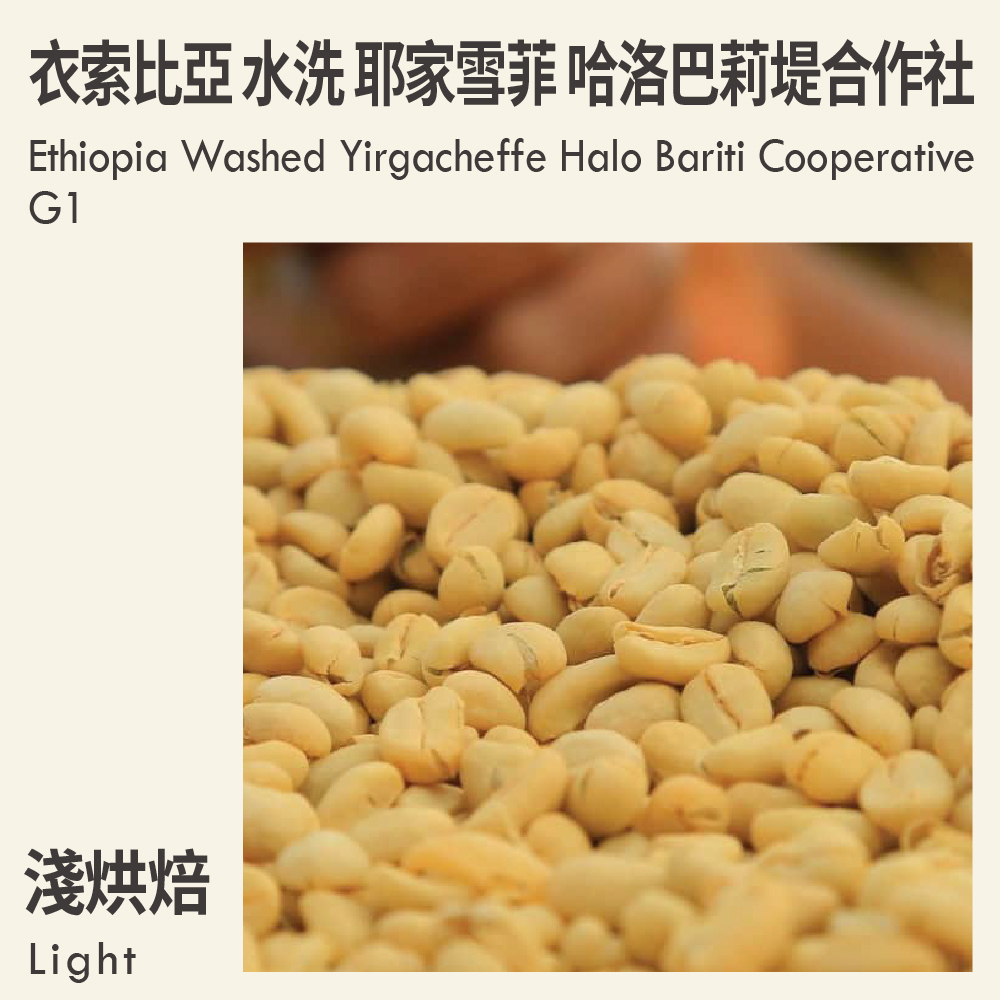 Ethiopia Washed Yirgacheffe Halo Bariti Cooperative G1