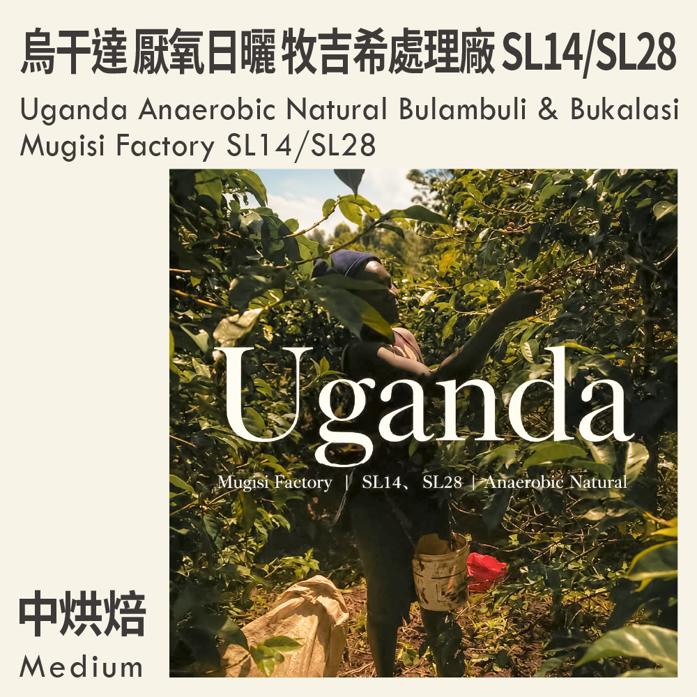Uganda Anaerobic Bulambuli & Bukalasi Natural Mugisi Factory SL14/SL28
