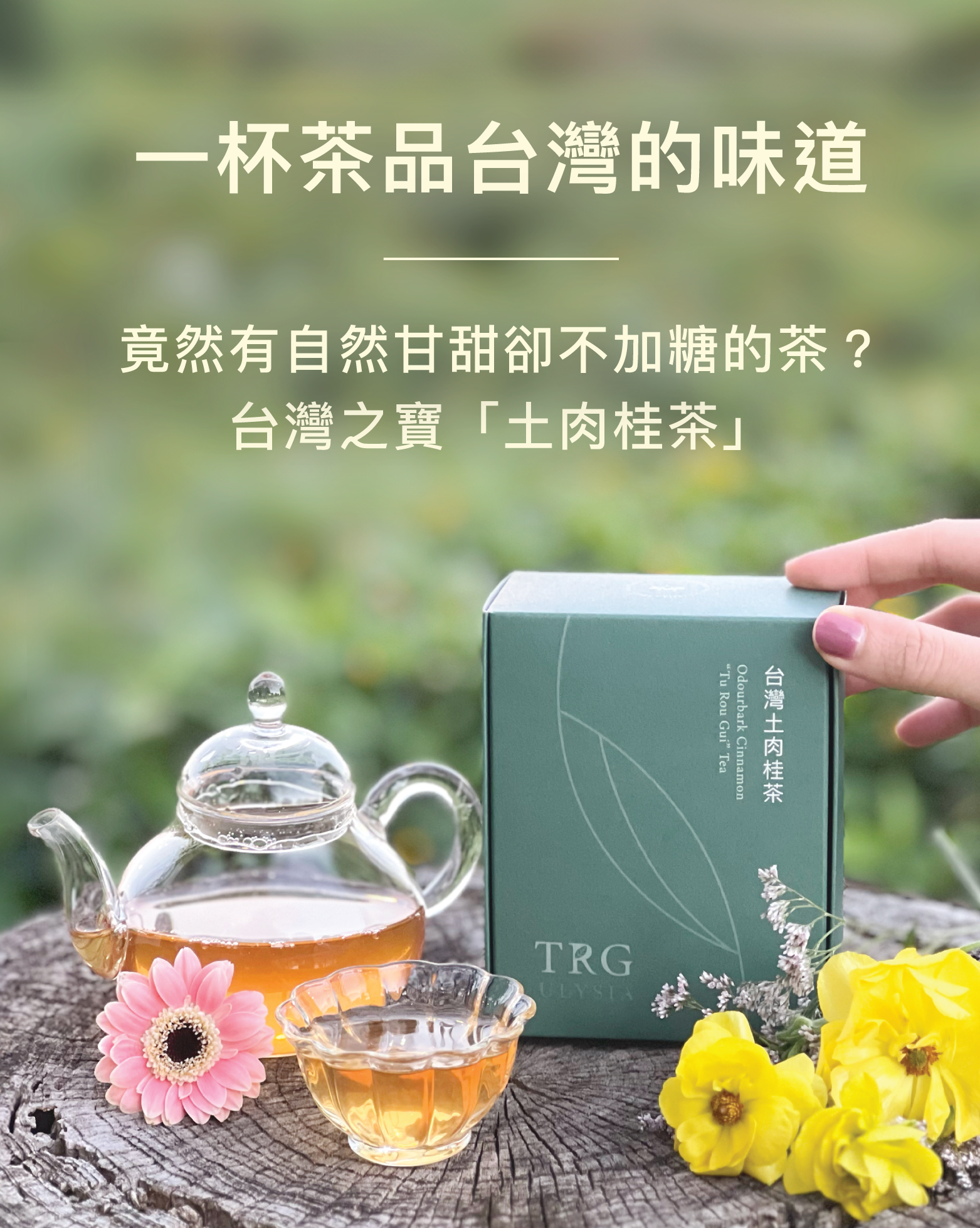 一杯茶品台灣的味道，竟然有自然甘甜卻不加糖的茶？台灣之寶「土肉桂茶」