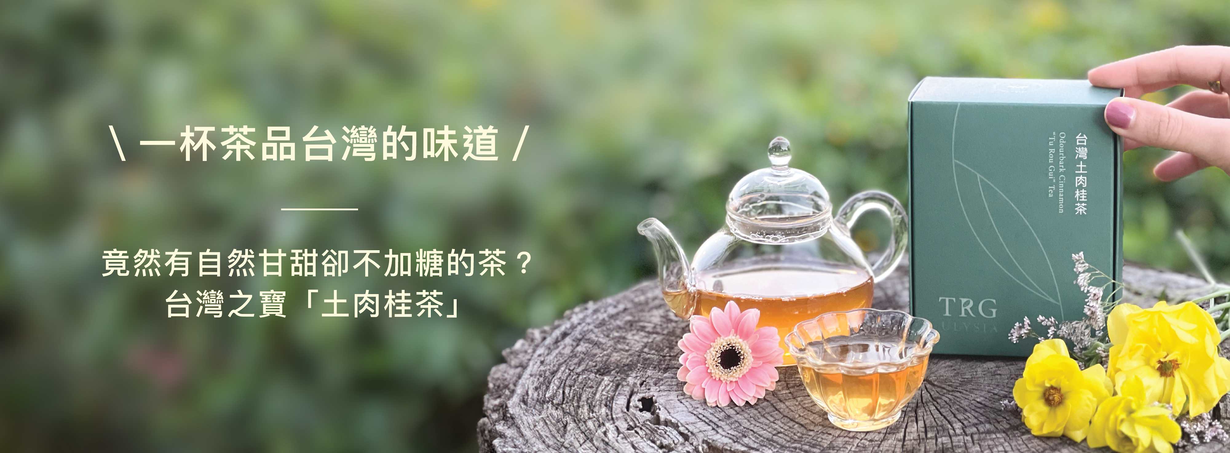 一杯茶品台灣的味道，竟然有自然甘甜卻不加糖的茶？台灣之寶「土肉桂茶」