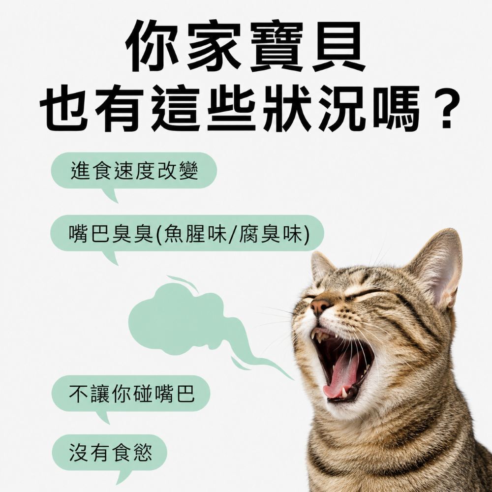 水魔素 貓狗口腔護理潔牙水 液體牙膏 貓潔牙水 貓潔牙 狗狗潔牙水 潔牙噴霧