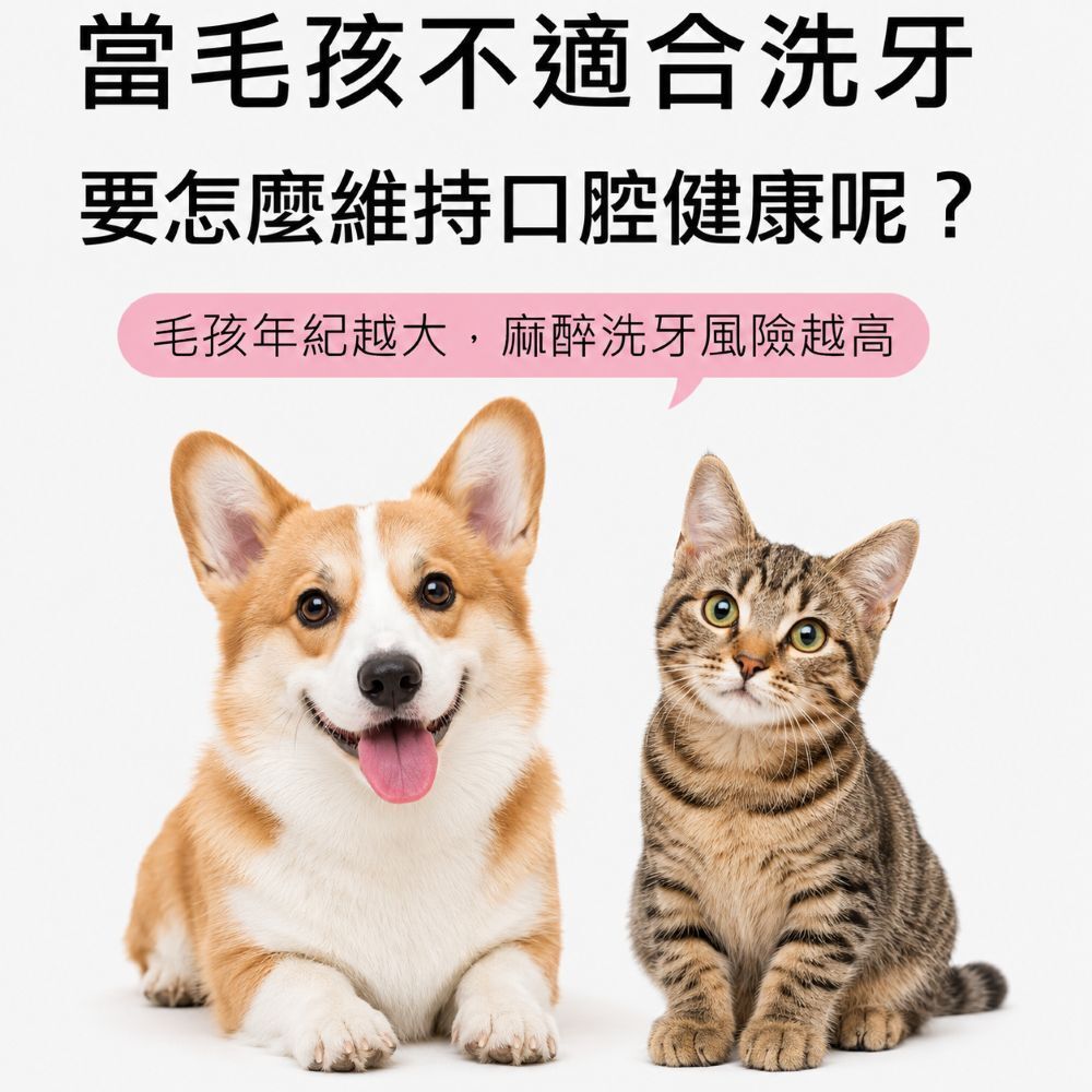 水魔素 貓狗口腔護理潔牙水 液體牙膏 貓潔牙水 貓潔牙 狗狗潔牙水 潔牙噴霧