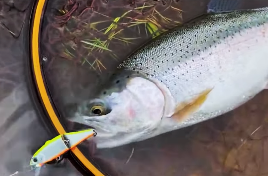 TACKLE HOUSE Buffet Jointed BUJ46S 沉水多節米諾