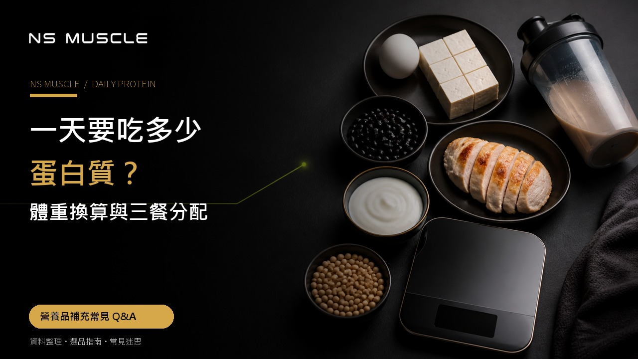 用餐盤、蛋白質食物與廚房秤估算每日蛋白質攝取