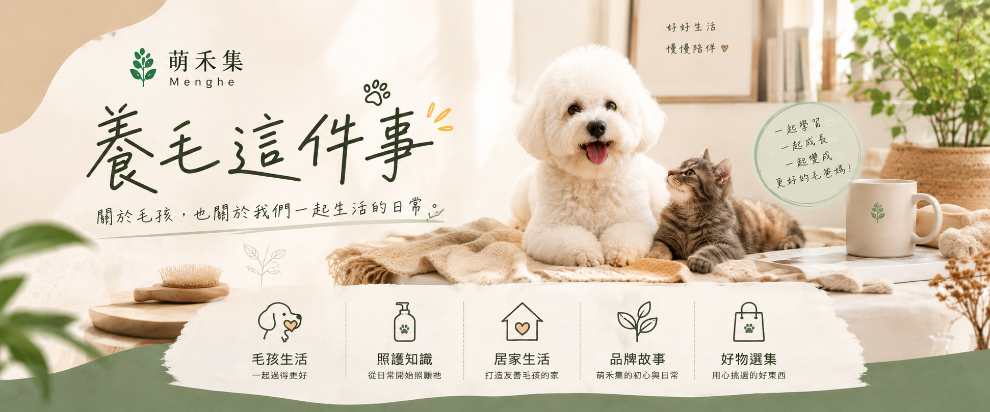 養毛這件事｜毛孩生活與日常照護