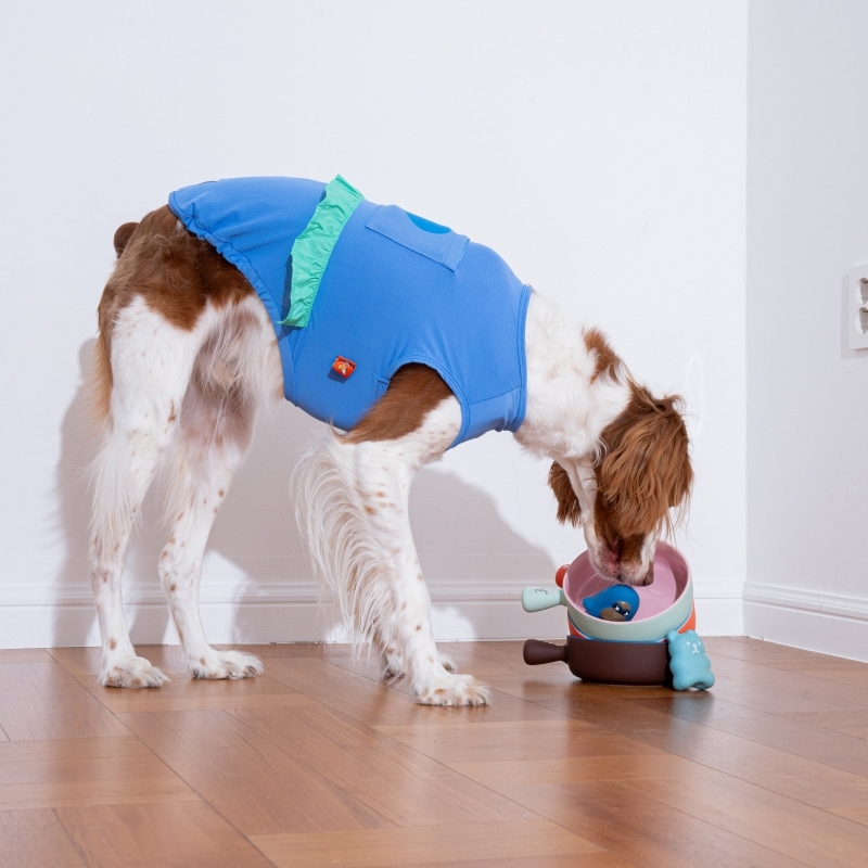puppygallery｜愛心荷葉涼感背心 蘇打藍