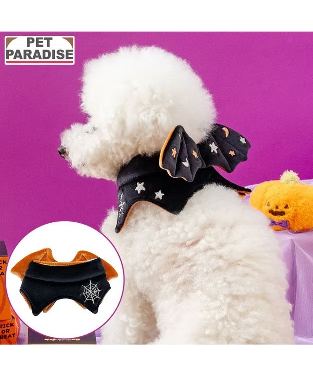【Pet Paradise】Halloween Bat Wing Choker